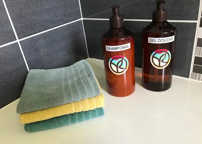 Bel Familial Classe Proche Tram Place De Strasbourg Acces Centre Ville, Plages Apartamento Brest